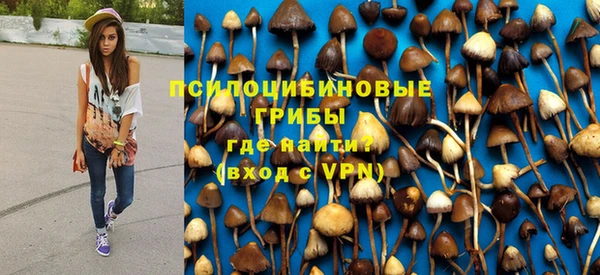 альфа пвп Алексеевка