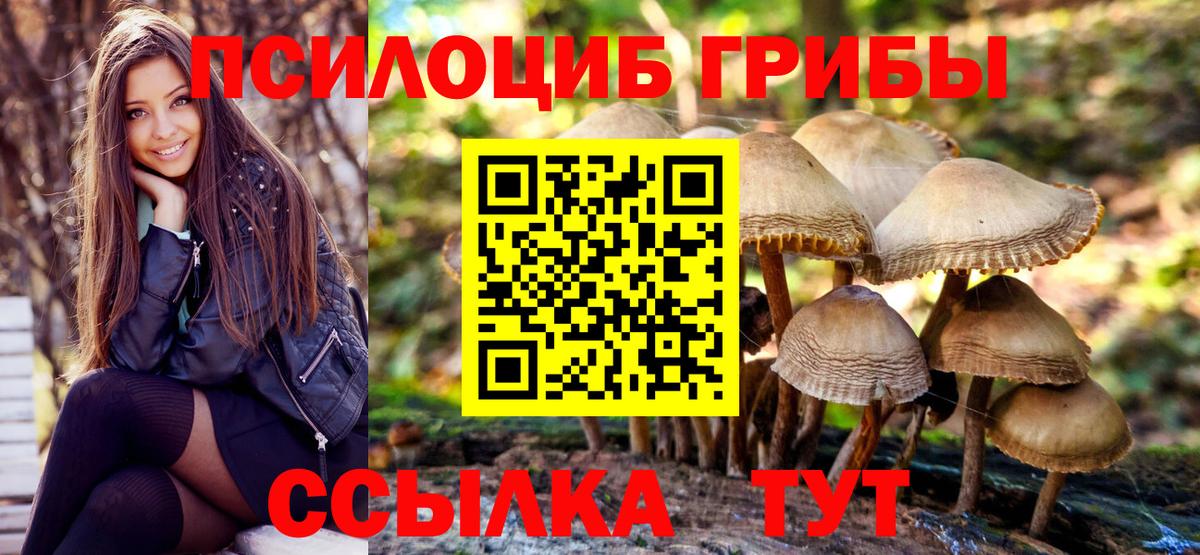 Псилоцибиновые грибы Cubensis Шебекино