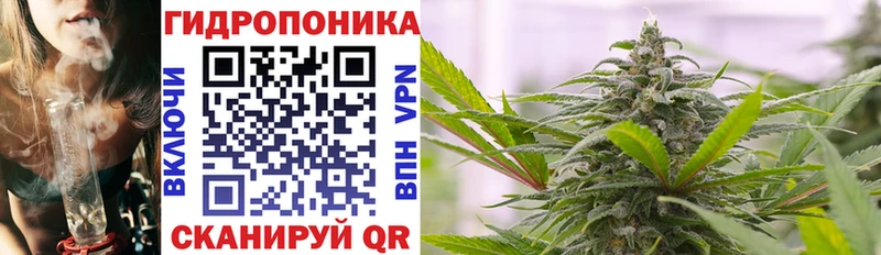сколько стоит  Шебекино  blacksprut онион  Бошки марихуана Amnesia 