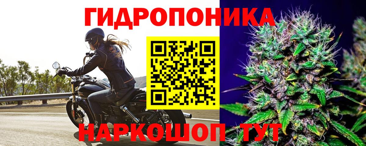 Конопля Шебекино
